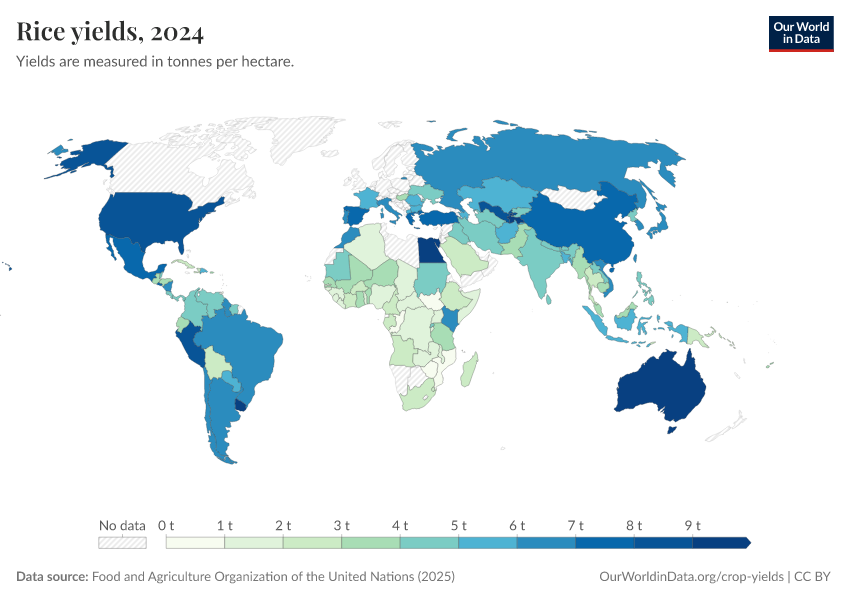 A thumbnail of the "Rice yields" chart